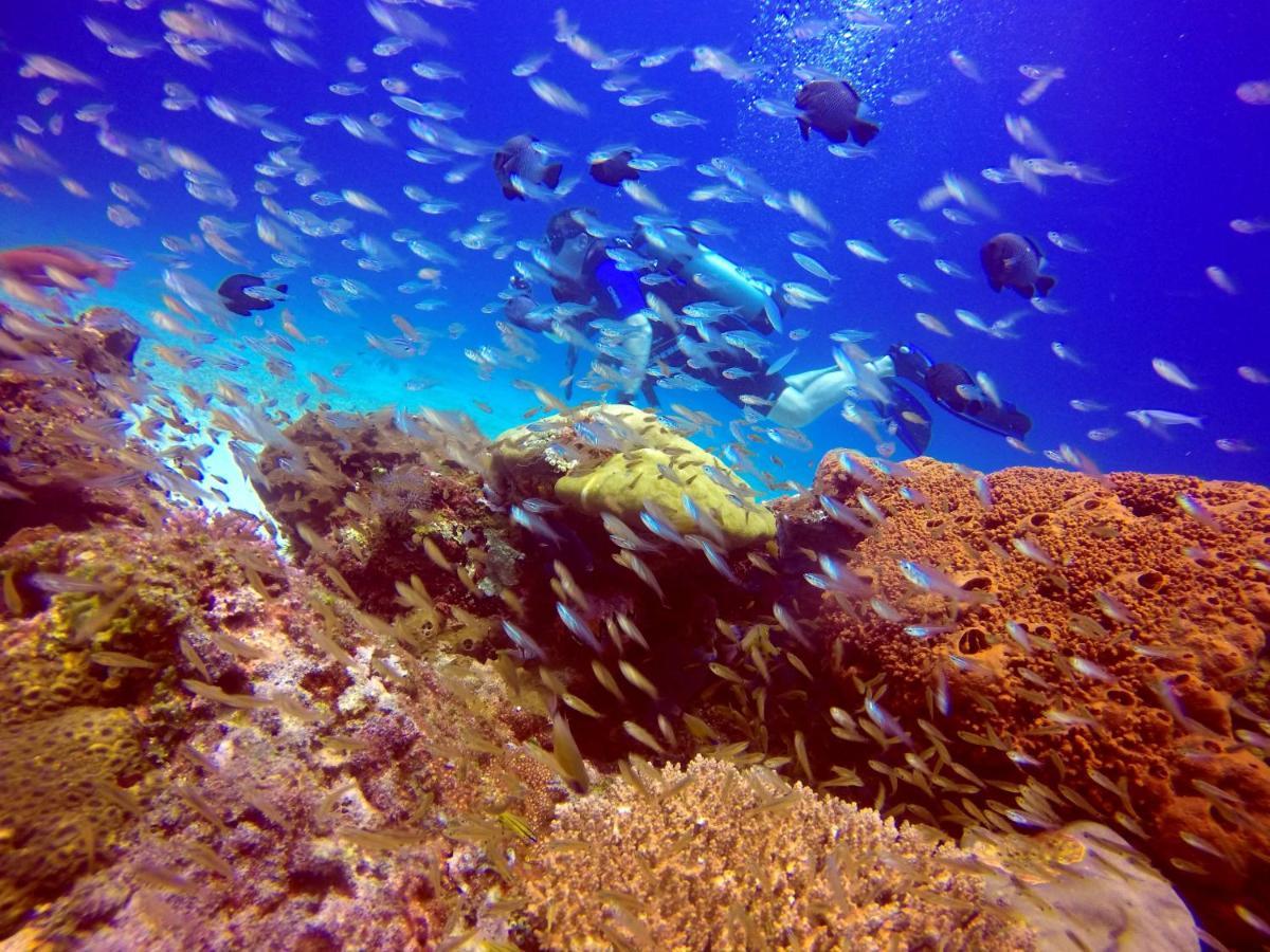 Anema Wellness & Resort Gili Lombok - Diving Center Padi Танджунг Экстерьер фото