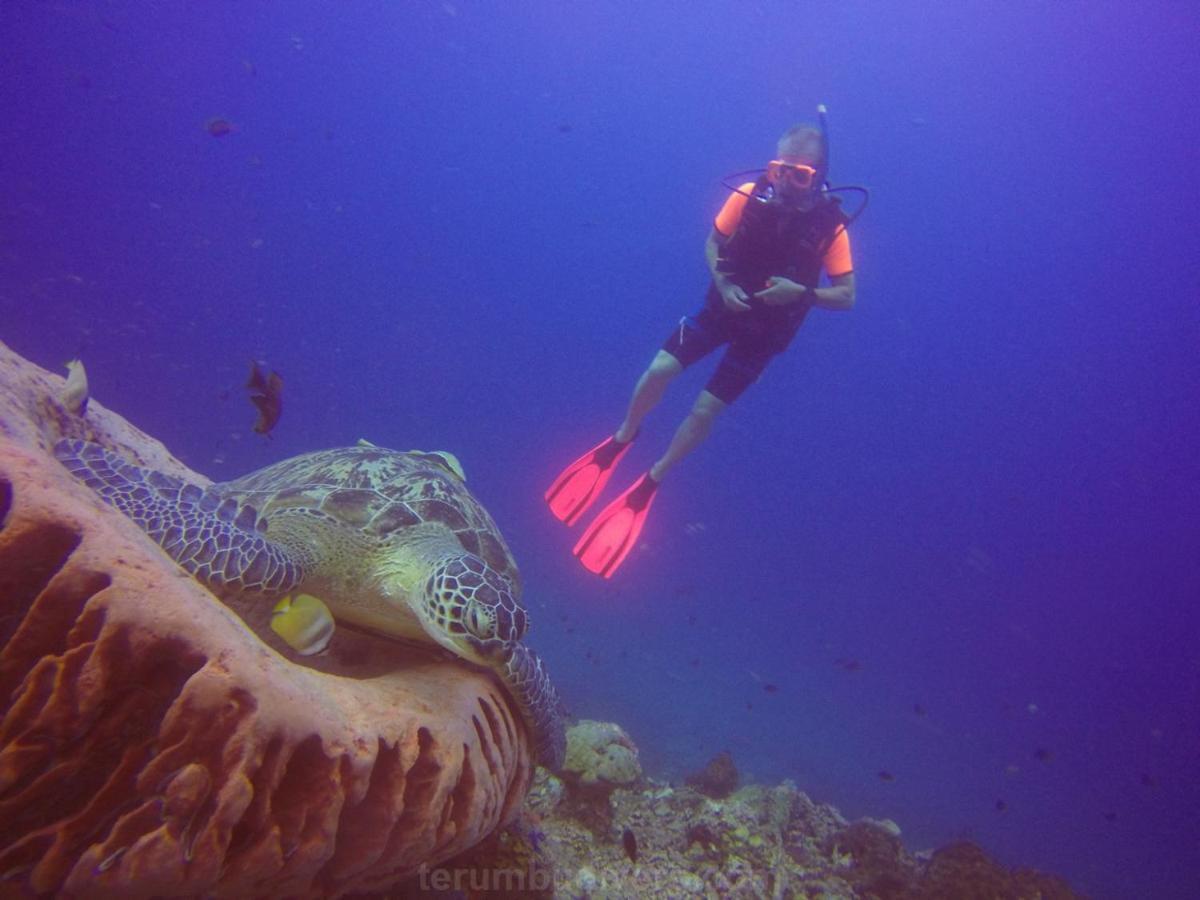 Anema Wellness & Resort Gili Lombok - Diving Center Padi Танджунг Экстерьер фото